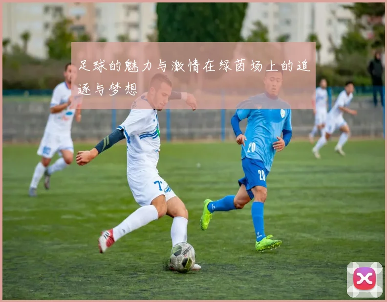 足球的魅力与激情在绿茵场上的追逐与梦想