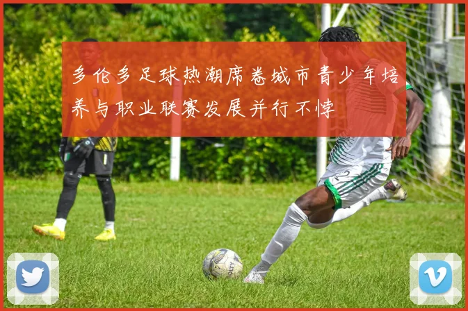多伦多足球热潮席卷城市青少年培养与职业联赛发展并行不悖